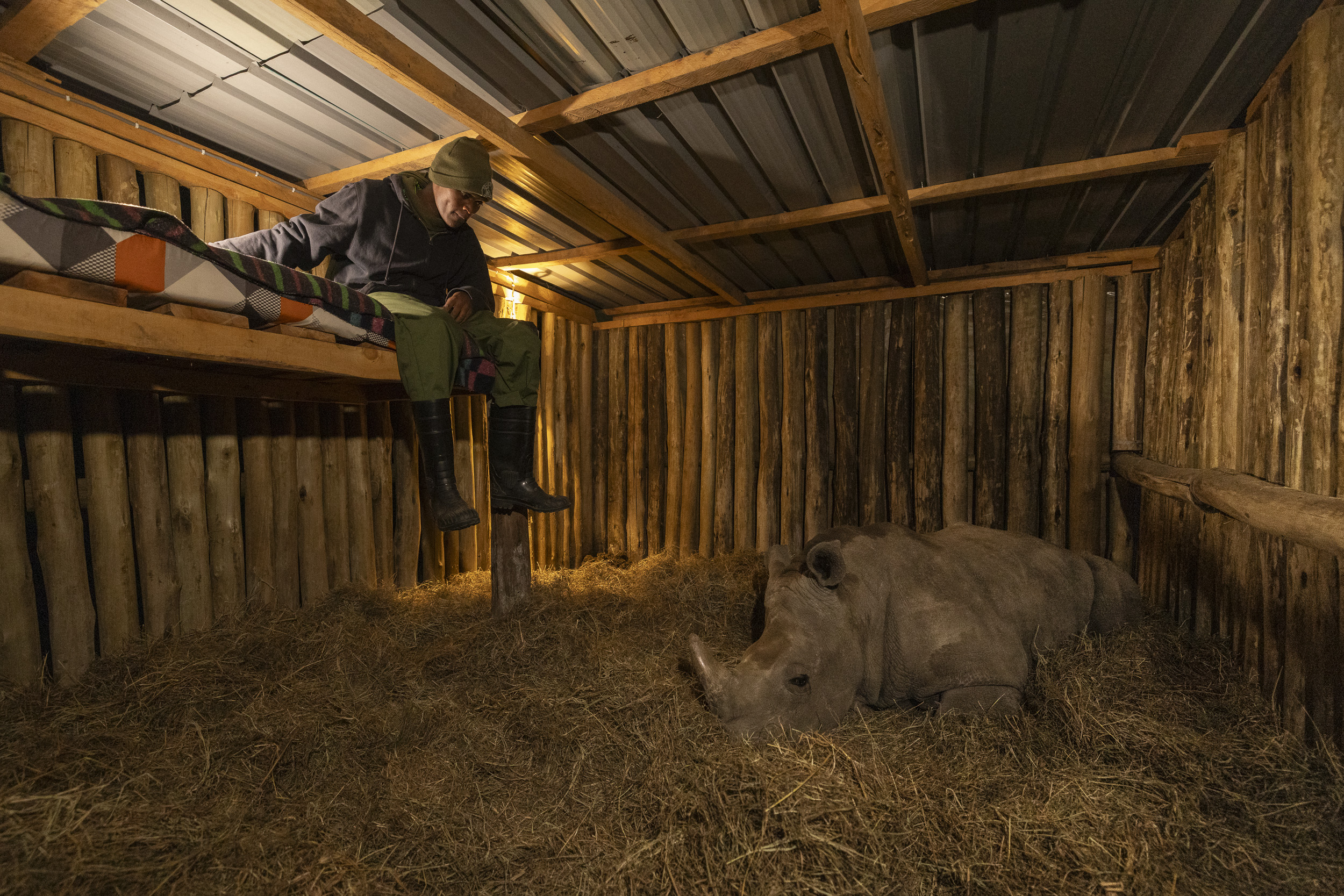 Night at Solio Rhino Orphanage, a carer on duty, Solio Game Reserve