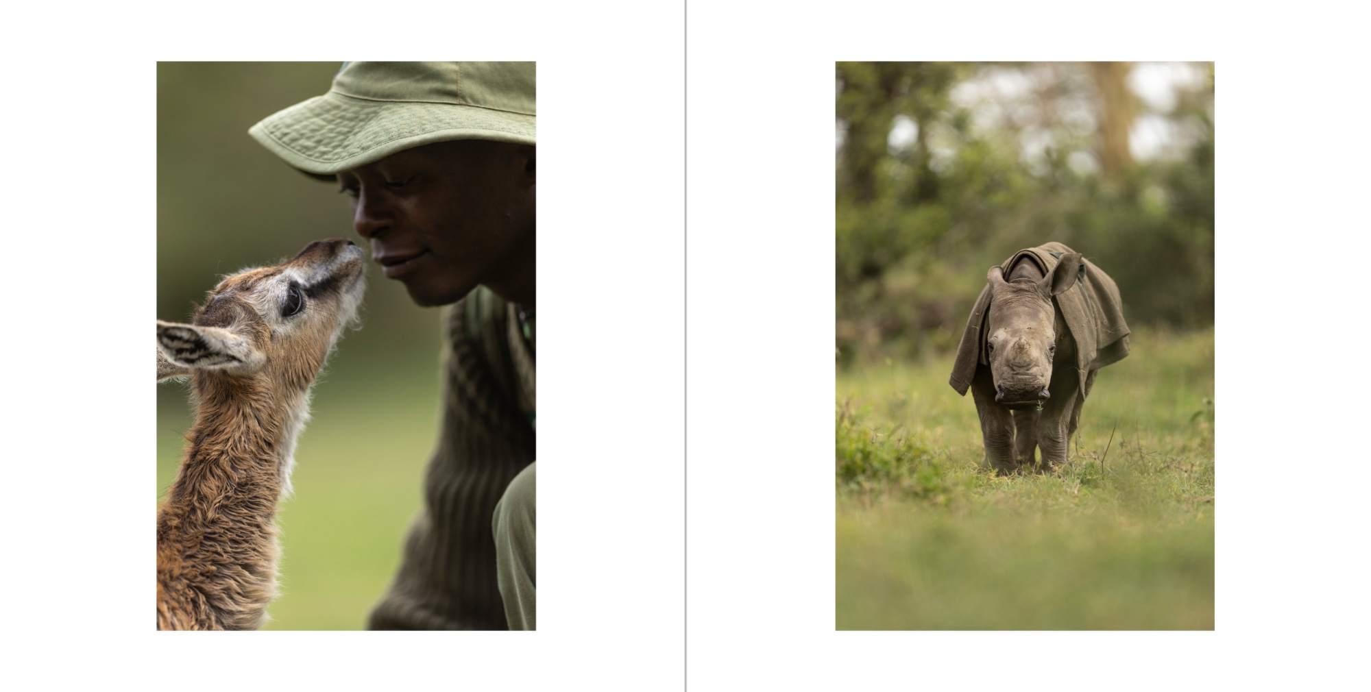 A spread from the Solio book, a keeper with a young gazelle and an orphaned rhino calf