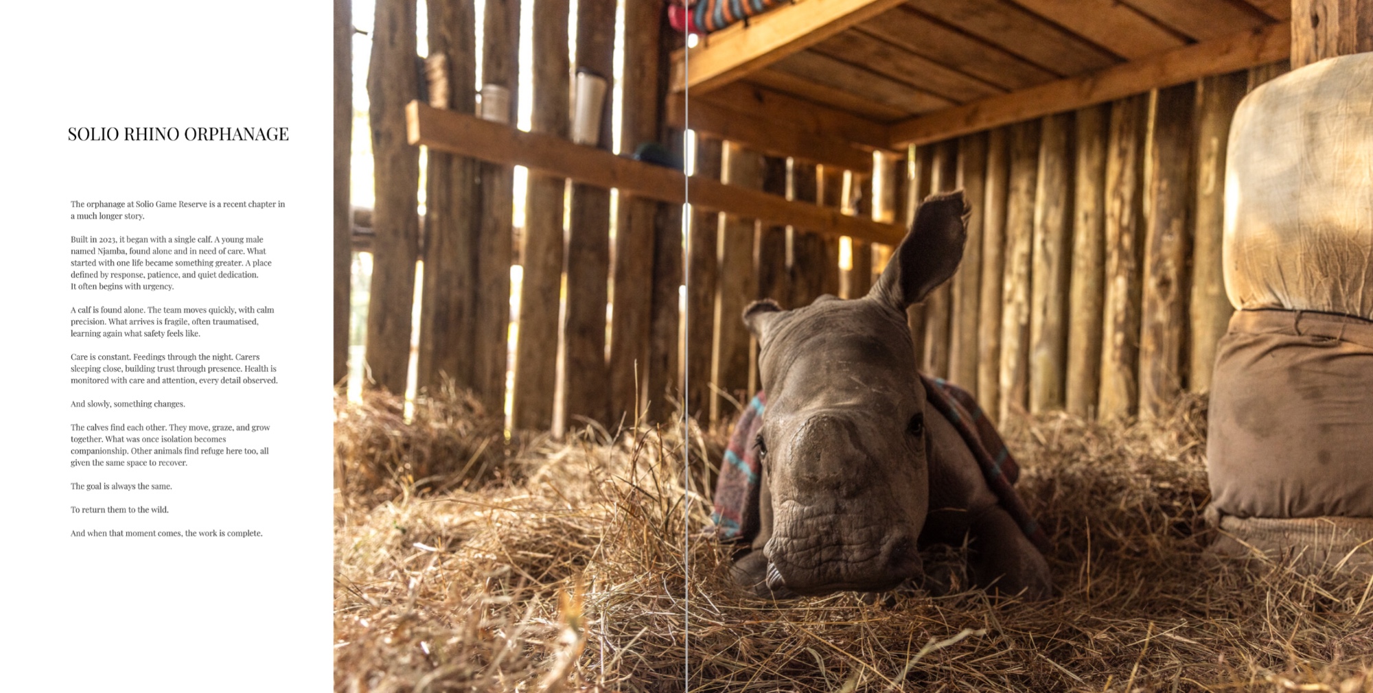A spread from the Solio book, the chapter on the rhino orphanage