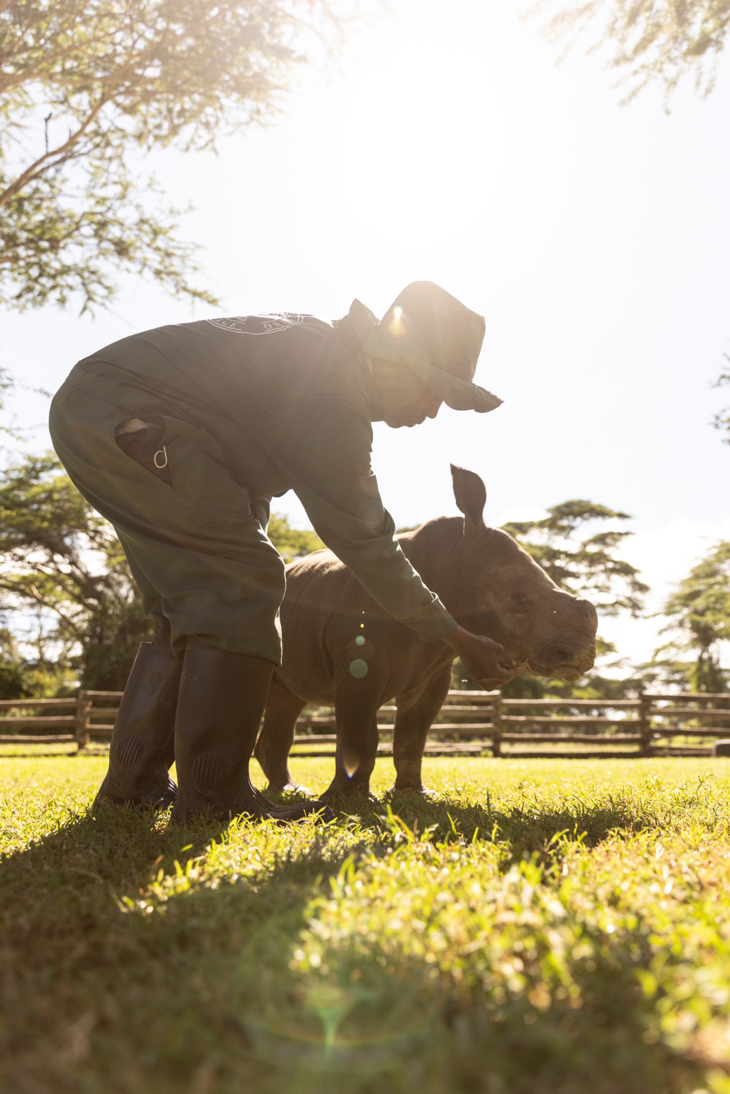 A carer at Solio Rhino Orphanage, Solio Game Reserve, Kenya